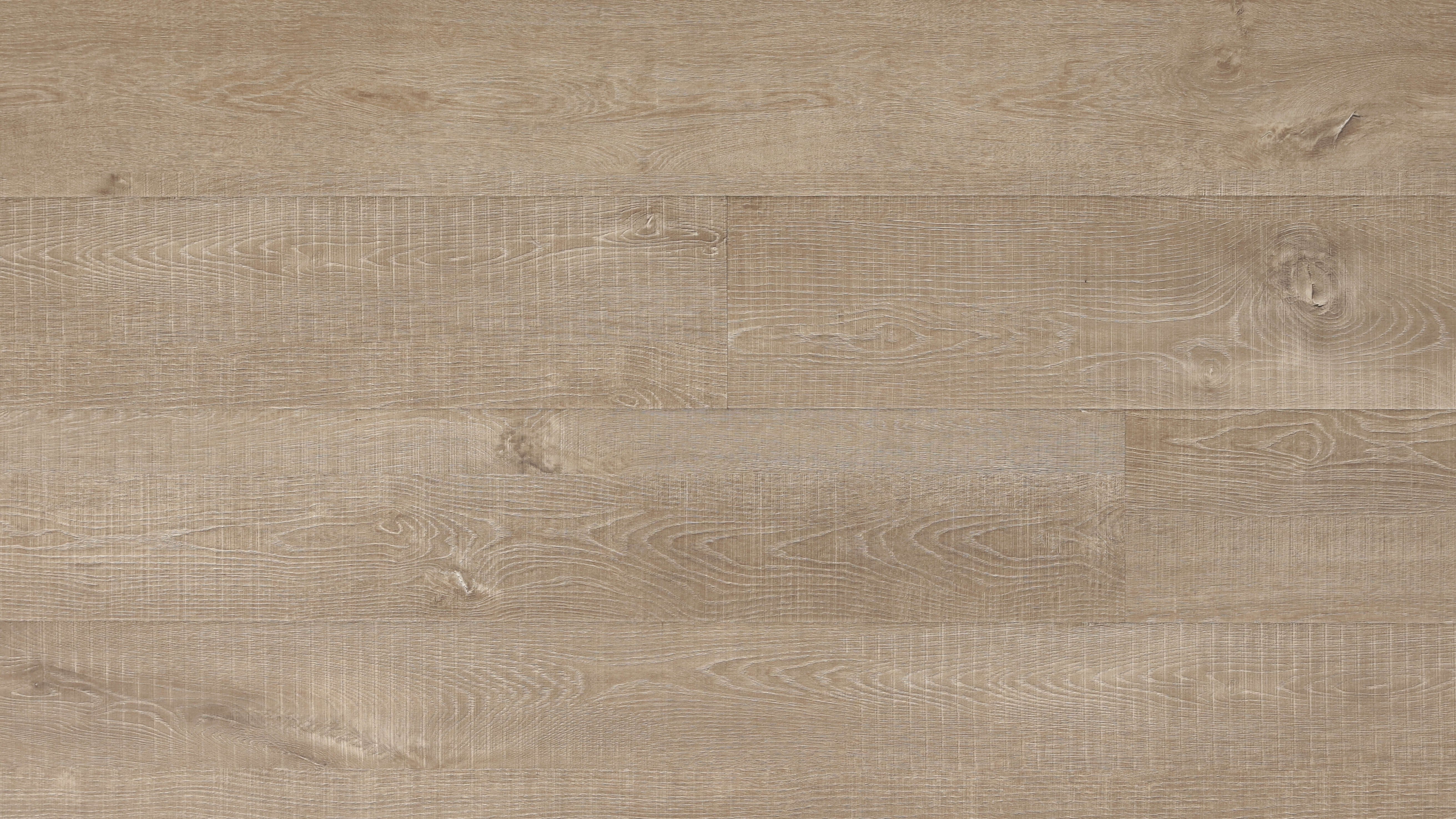 Prime Laminate Legend Collection (2200mm x 239mm x 12.3mm)