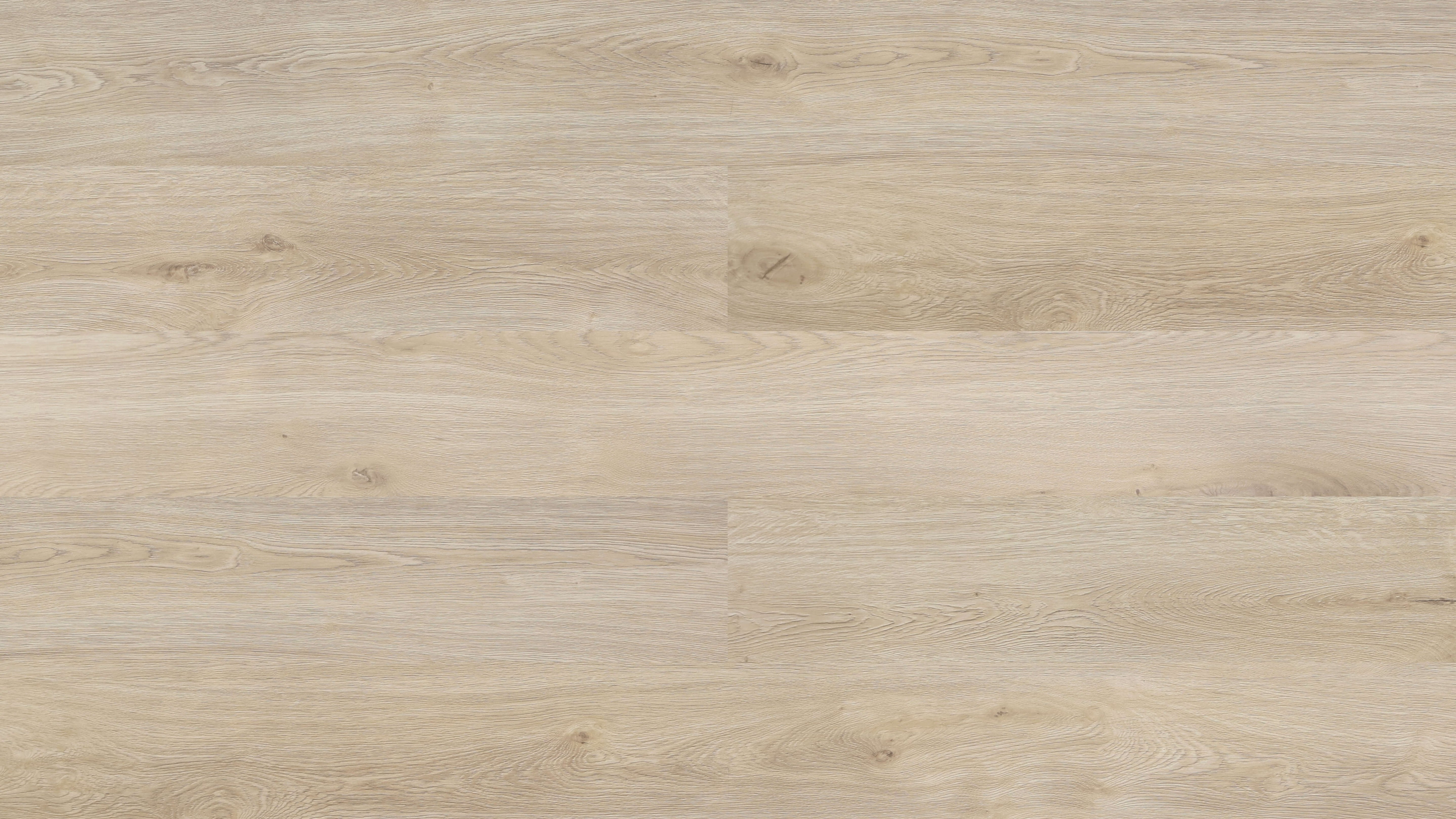 Prime Laminate Legend Collection (2200mm x 239mm x 12.3mm)