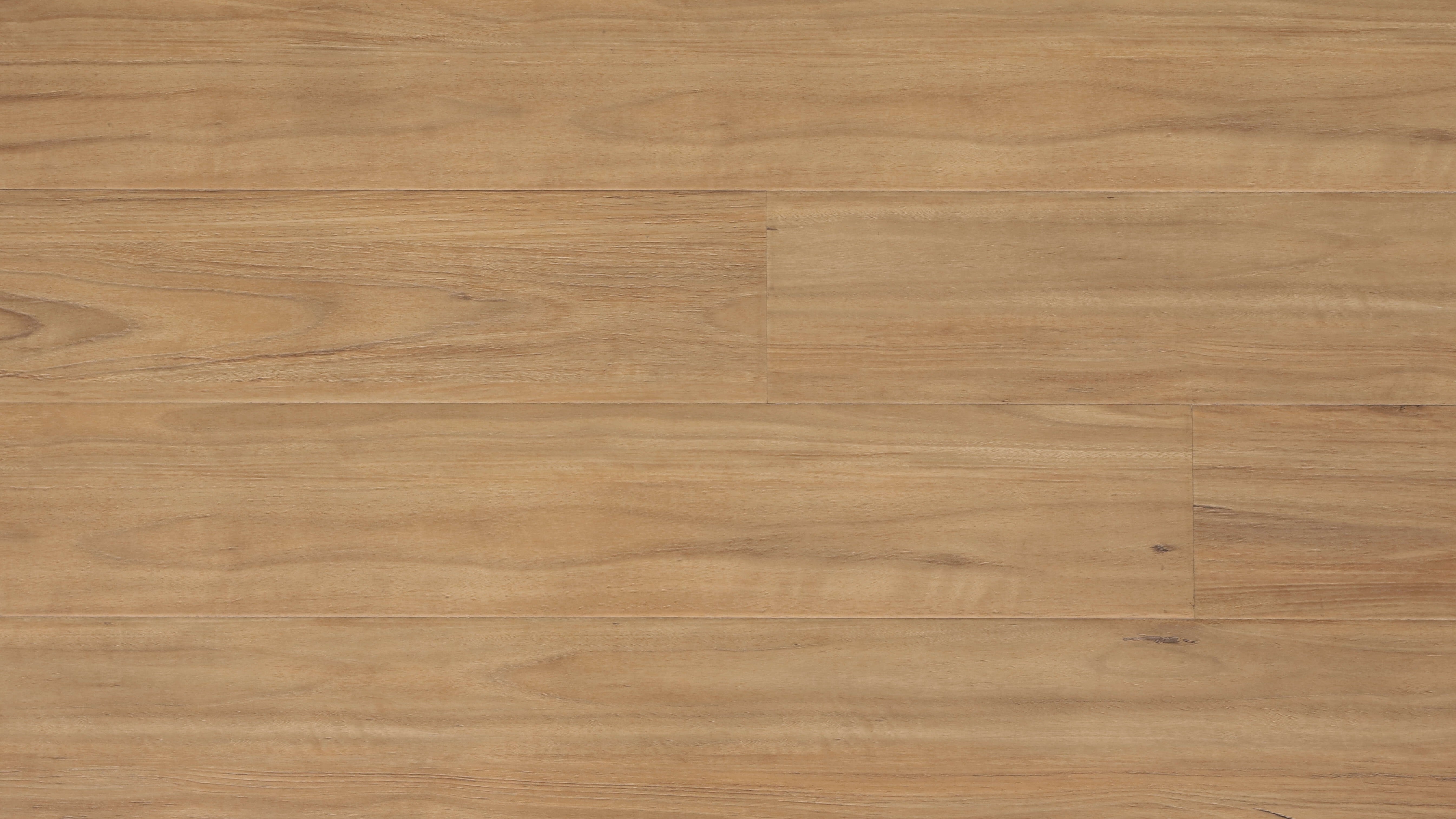 Prime Laminate Legend Collection (2200mm x 239mm x 12.3mm)