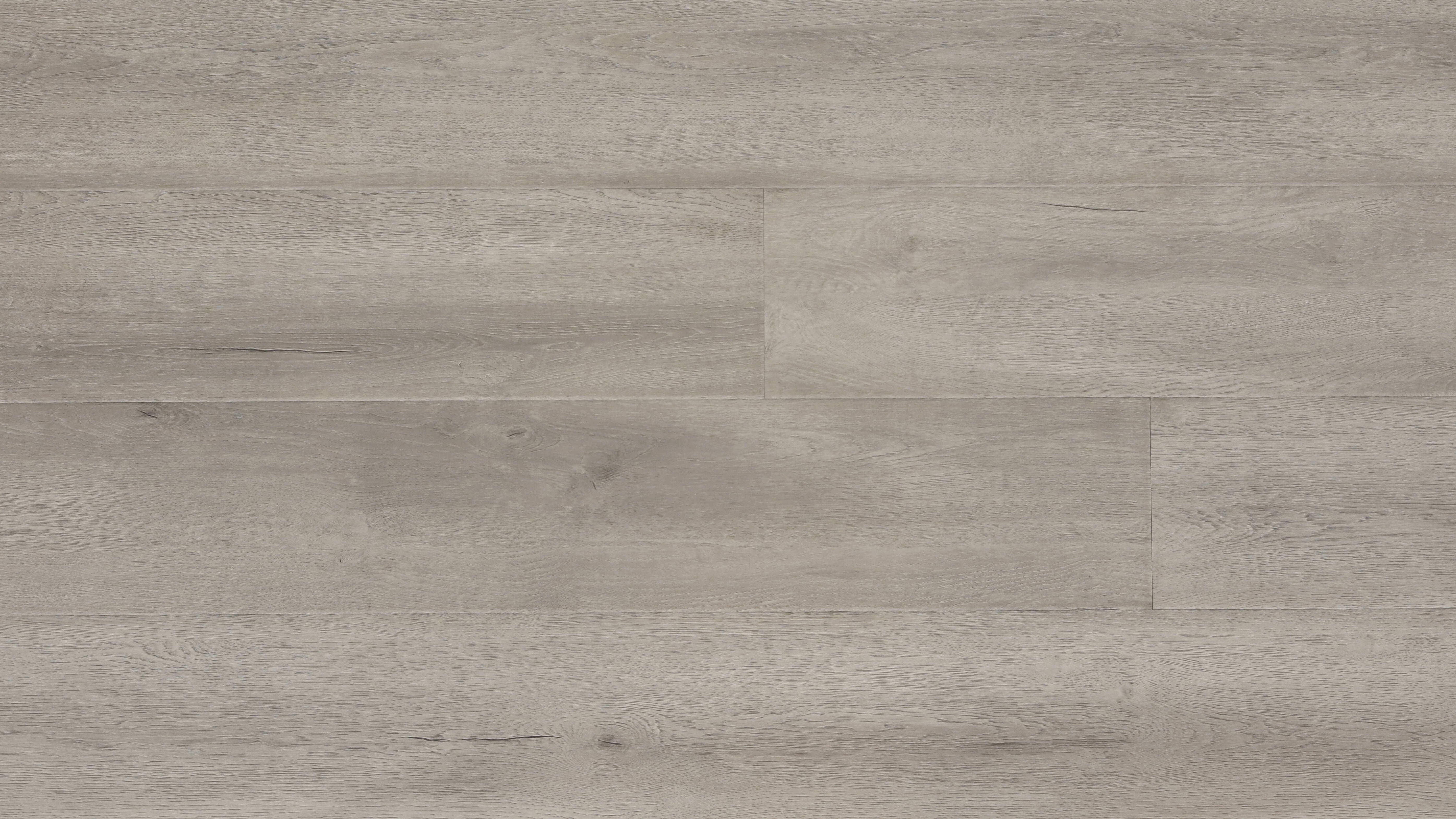 Prime Laminate Legend Collection (2200mm x 239mm x 12.3mm)