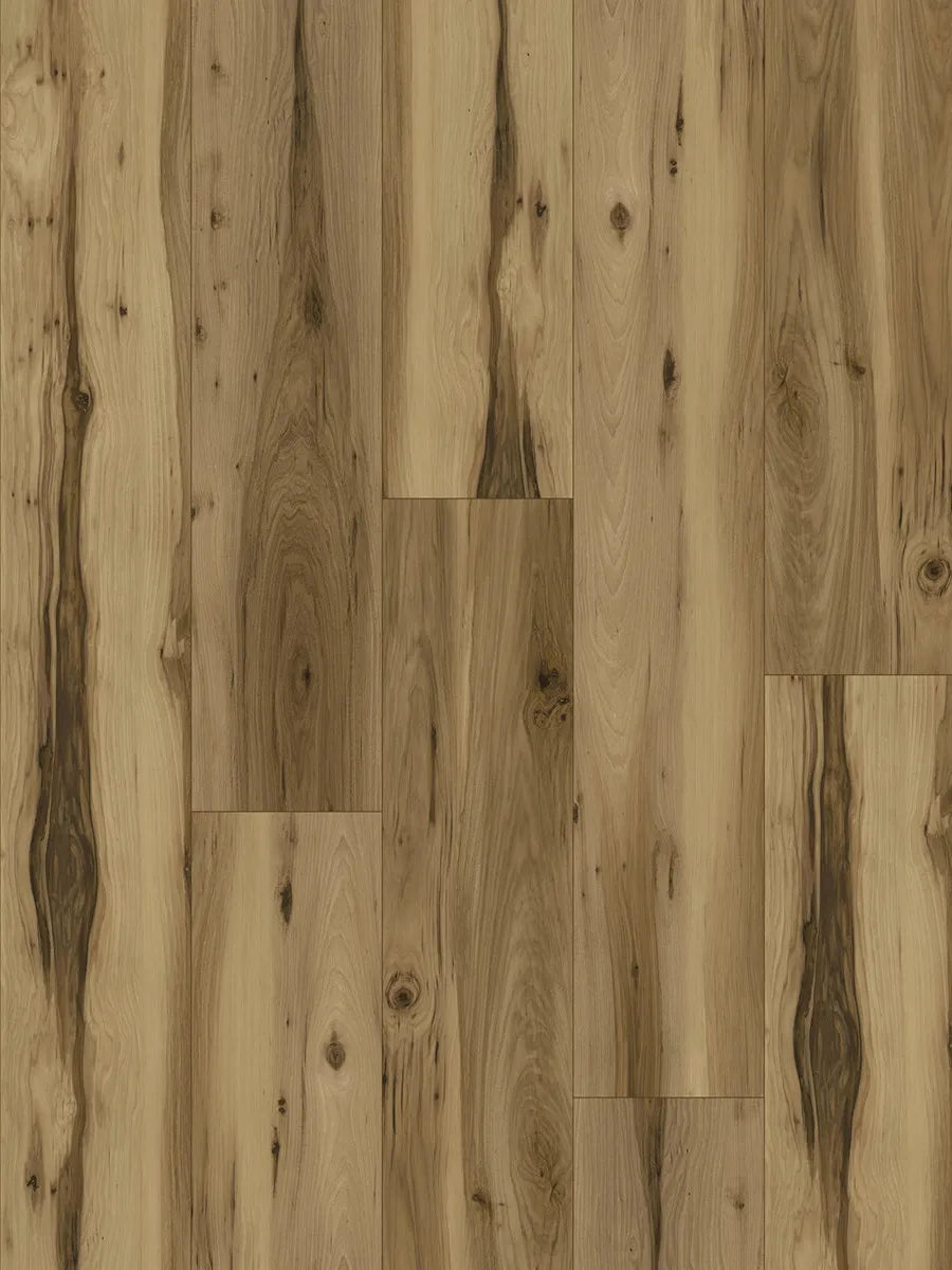 Elite 6.0 (1511mm x 229mm x 6mm)