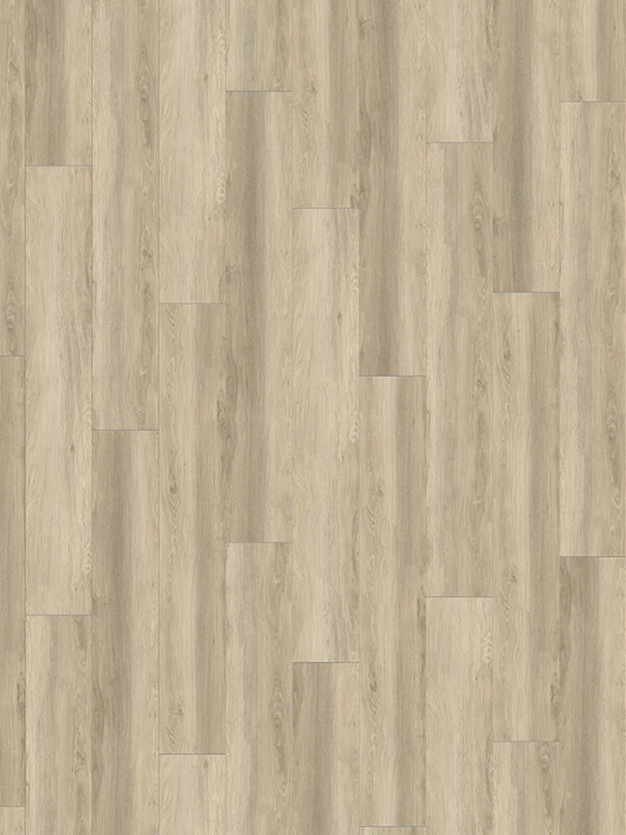 Elite 6.0 (1511mm x 229mm x 6mm)