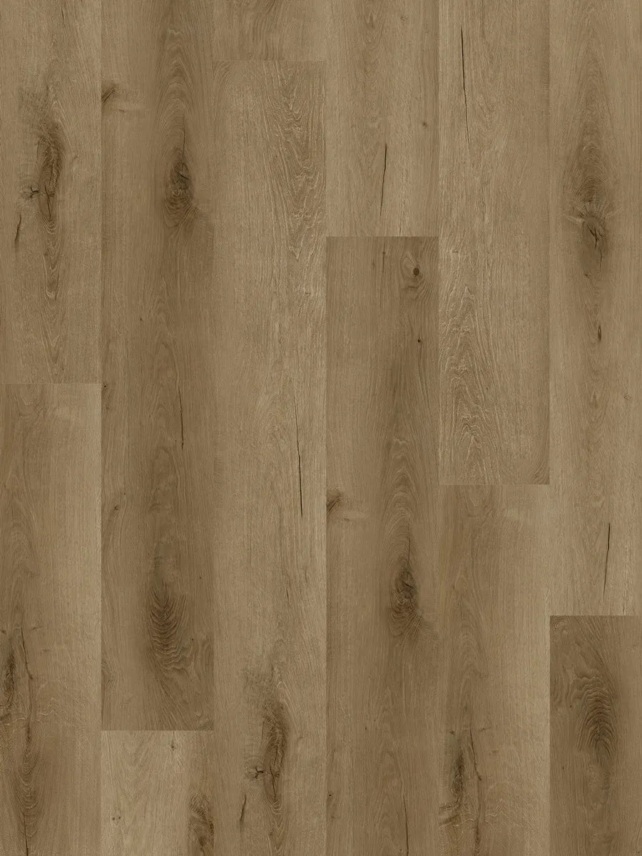 Elite 6.0 (1511mm x 229mm x 6mm)