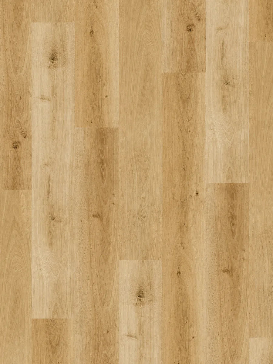Elite 6.0 (1511mm x 229mm x 6mm)