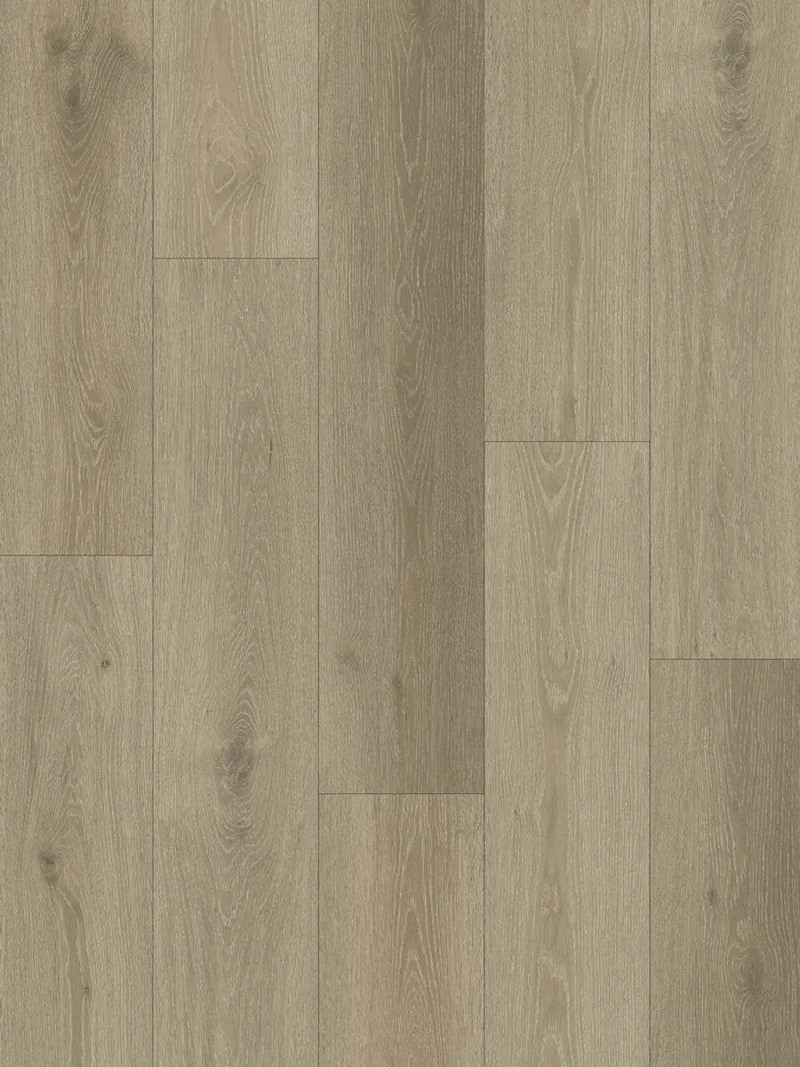 Elite 6.0 (1511mm x 229mm x 6mm)
