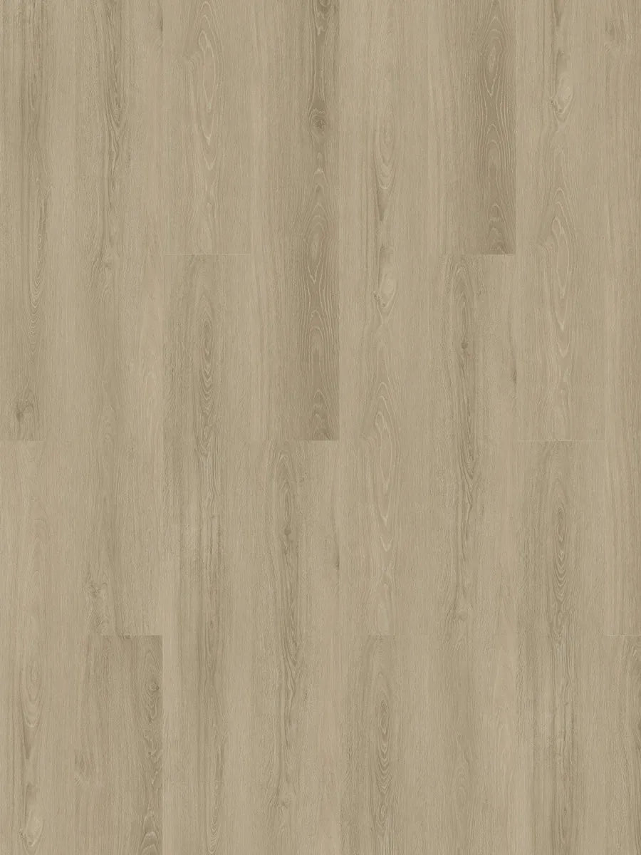 Elite 6.0 (1511mm x 229mm x 6mm)